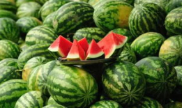 河北铺吃瓜最新事件爆料,最新爆料揭秘惊人内幕